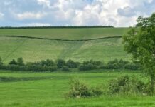 Op zaterdag 15 november: Gezamenlijke presentaties IVN Heuvelland, Veldeke Maastricht en LGOG Kring Valkenburg & Heuvelland