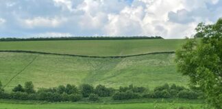 Op zaterdag 15 november: Gezamenlijke presentaties IVN Heuvelland, Veldeke Maastricht en LGOG Kring Valkenburg & Heuvelland