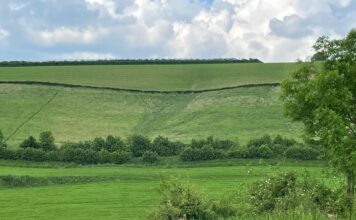 Ook Mystery Walk mogelijk: Heuse Geuldalwandelmarathon op zaterdag 4 oktober 2025 !