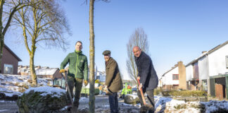 Gemeente Gulpen-Wittem plant nieuwe bomen in Slenaken voor groene toekomst