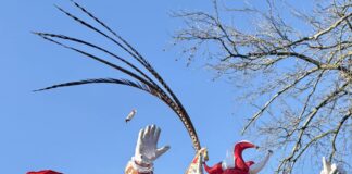 Van woensdag 28 mei t/m zondag 1 juni 2025: 7 x 11 jarig jubileum CV De Grensülle Vols