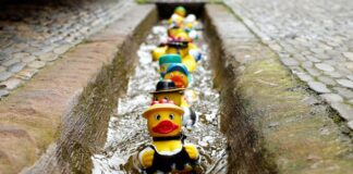 Op zaterdag 5 juli: Duckrace in Schin op Geul
