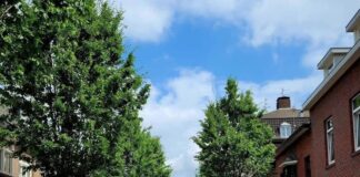 Met Zomerkermis van zaterdag 5 t/m dinsdag 8 juli 2025: Gevarieerd Üllemarkt Weekend in Vaals