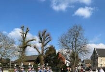 Op zondag 19 oktober: Schutterij St. Sebastianus Mechelen organiseert gemeentelijk drumbandtreffen