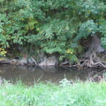 Op zaterdag 22 november: Natuurkrachtdag in het Geul- en Gulpdal