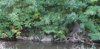 Herfstwandeling IVN Eys in het Land van Herve