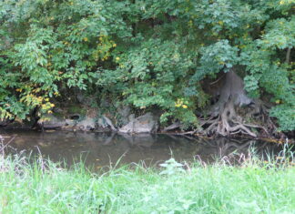 Op zaterdag 22 november: Natuurkrachtdag in het Geul- en Gulpdal