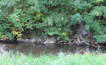 Herfstwandeling IVN Eys in het Land van Herve