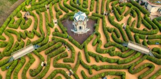 Nieuwe interactieve attractie op het Drielandenpunt: De Amikejo Spektaklo !