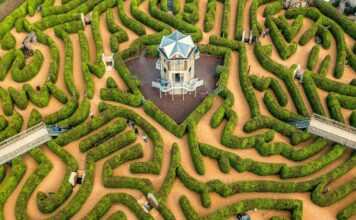 Nieuwe interactieve attractie op het Drielandenpunt: De Amikejo Spektaklo !