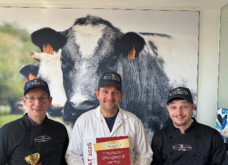 Prijs voor Slagerij Kusters Droogworst venkel – Zuurvlees kroket – huisgemaakte frikandel -in de prijzen